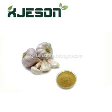 GMP Standard Allicin Garlic Extract